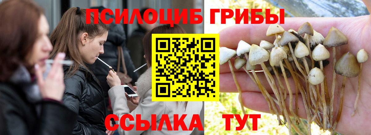 Галлюциногенные грибы MAGIC MUSHROOMS  где купить наркоту  Вход с VPN  Екатеринбург  Галлюциногенные грибы Cubensis 