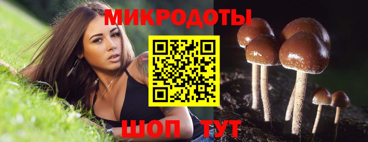 Галлюциногенные грибы Magic Shrooms Екатеринбург